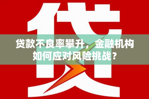 乌伊岭贷款不良率攀升，金融机构如何应对风险挑战？