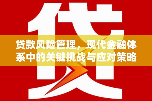 乌伊岭贷款风险管理，现代金融体系中的关键挑战与应对策略