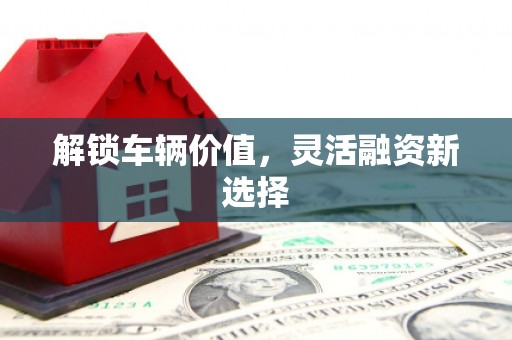 乌伊岭解锁车辆价值，灵活融资新选择