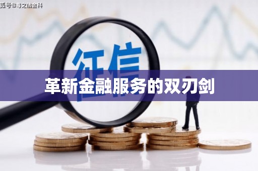 乌伊岭革新金融服务的双刃剑