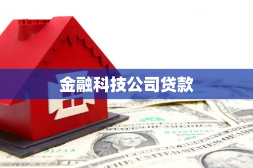 乌伊岭金融科技公司贷款