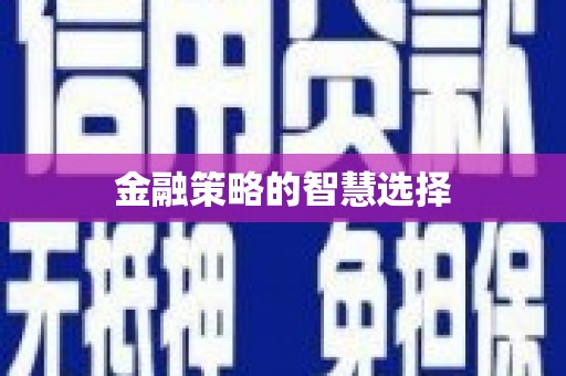 乌伊岭金融策略的智慧选择