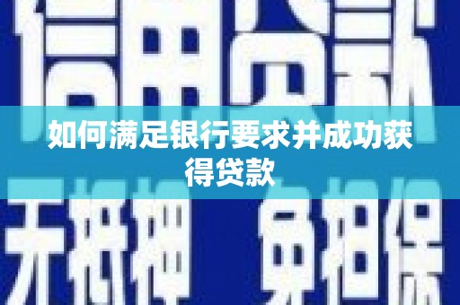 乌伊岭如何满足银行要求并成功获得贷款