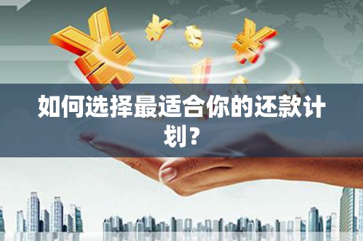 乌伊岭如何选择最适合你的还款计划？