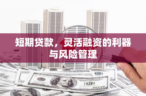 乌伊岭短期贷款，灵活融资的利器与风险管理