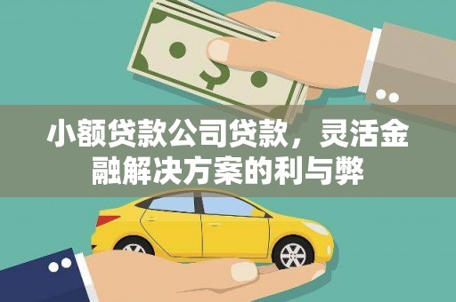 乌伊岭小额贷款公司贷款，灵活金融解决方案的利与弊